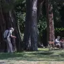 Il parco di Villa Revoltella (Lasorte)