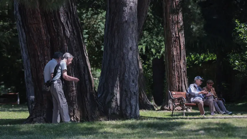 Il parco di Villa Revoltella (Lasorte)
