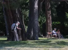 Il parco di Villa Revoltella (Lasorte)