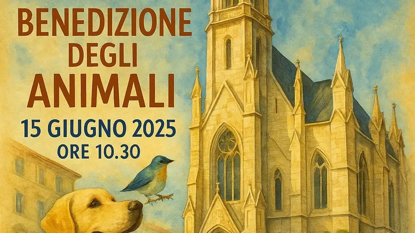 La locandina dell’iniziativa: un disegno con cani, gatti e conigli davanti alla chiesa luterana di Trieste