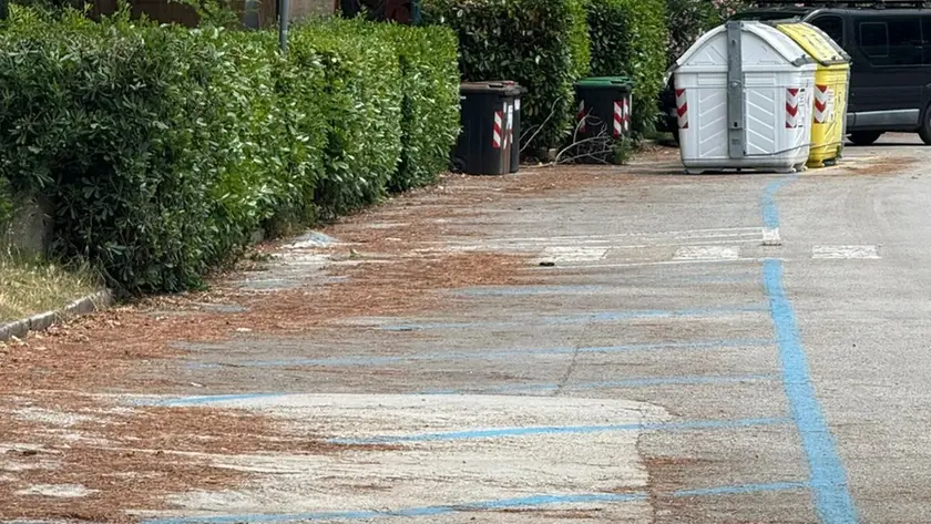 Le strisce blu a Sistiana (Lasorte)