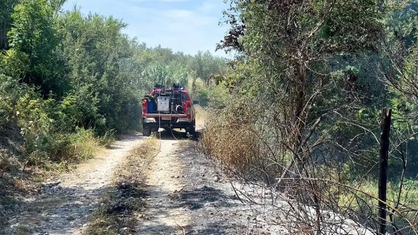 L'intervento dei Vigli del fuoco a San Dorligo della Valle