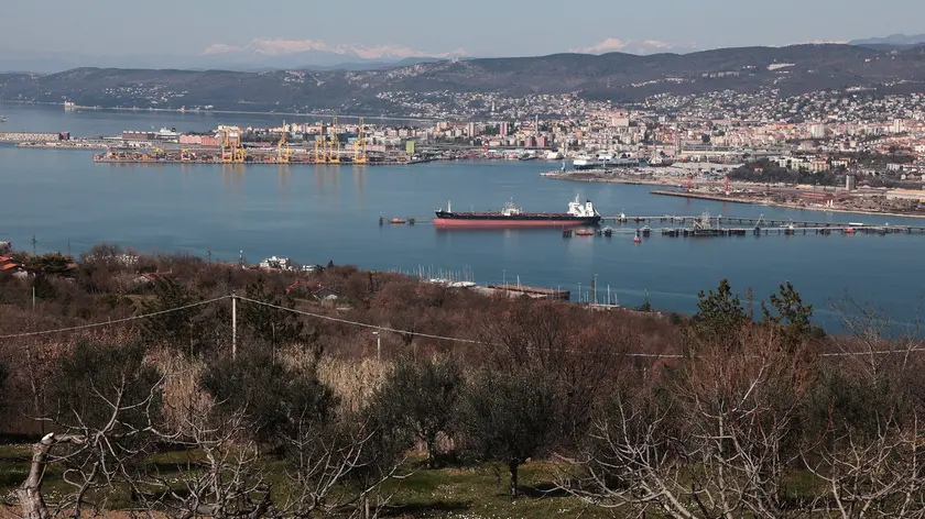 Il golfo visto da Muggia Vecchia (Lasorte)