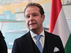 Vittorio Torbianelli