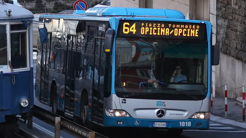 La linea 64 (Lasorte)