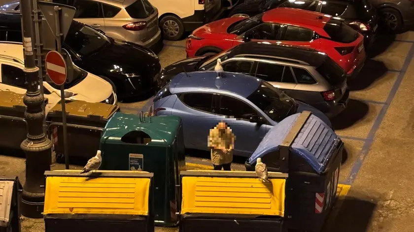 L'uomo ripreso dalle telecamere a Roiano