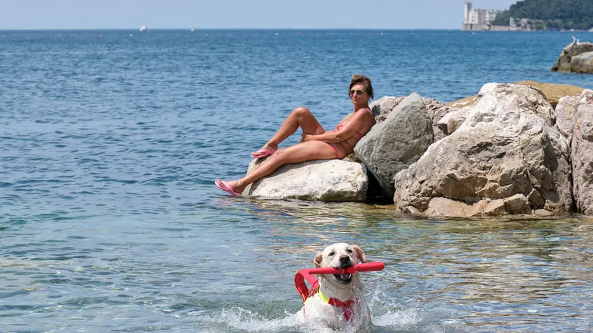 Uno dei primi “natanti” della nuova spiaggia per cani “Bau Beach” di Barcola (Silvano)