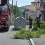 Vigili del fuoco al lavoro per rimuovere i rami in strada (Foto Bruni)