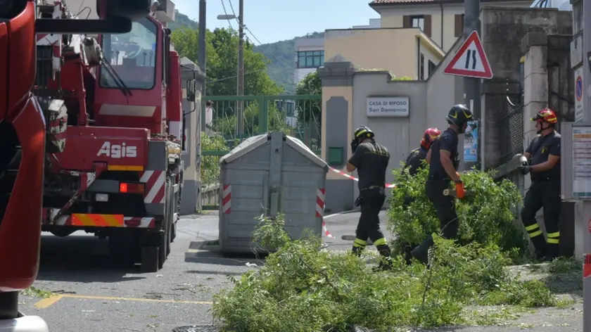 Vigili del fuoco al lavoro per rimuovere i rami in strada (Foto Bruni)