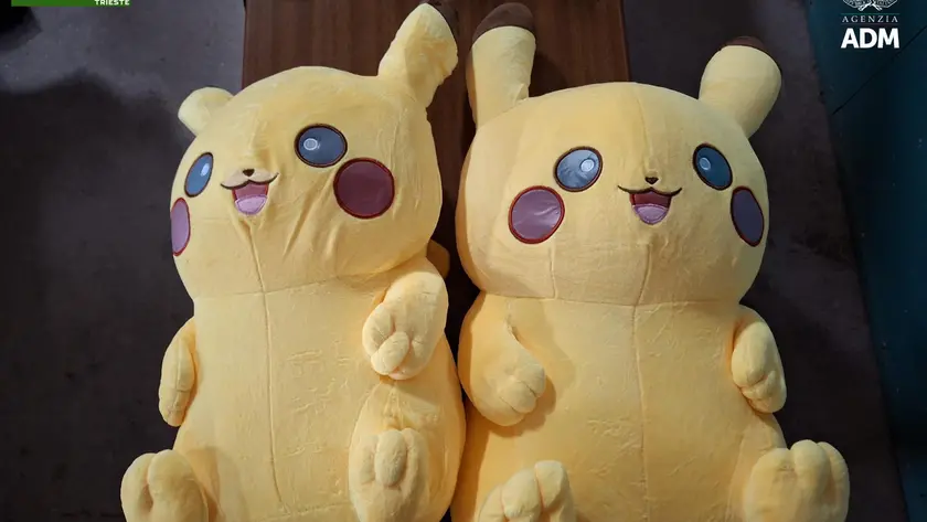 Alcuni dei peluche sequestrati