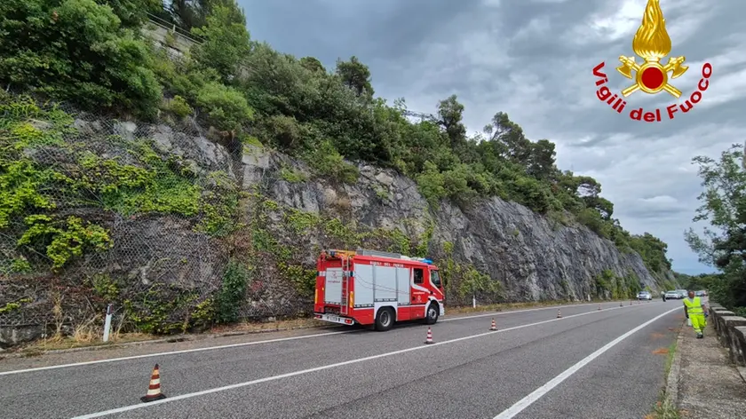 Vigili del fuoco impegnati sulla Costiera per gli alberi pericolanti