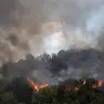 Uno dei molti roghi scoppiati nei giorni scorsi in Serbia