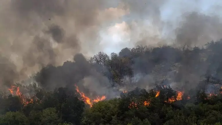 Uno dei molti roghi scoppiati nei giorni scorsi in Serbia