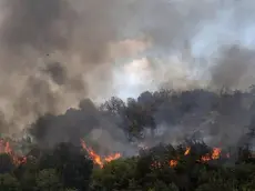Uno dei molti roghi scoppiati nei giorni scorsi in Serbia