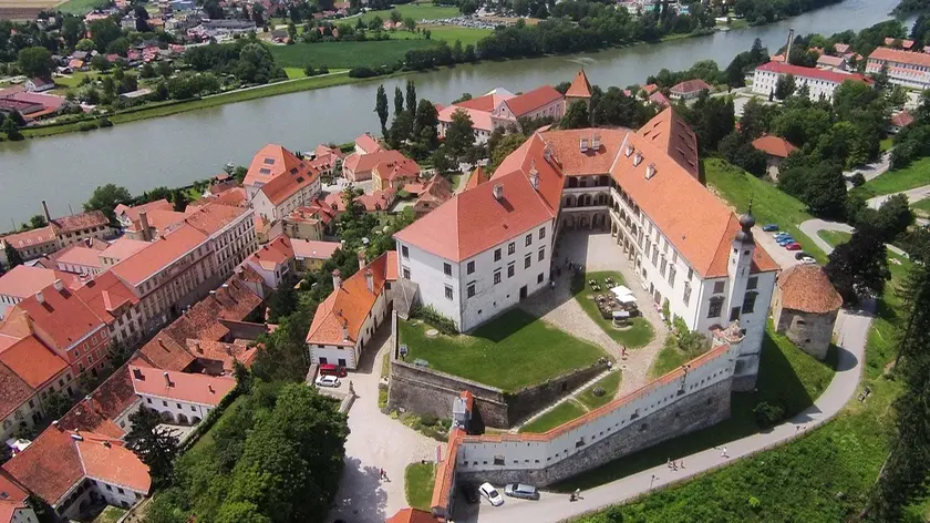 Ptuj, la Petovio romana, città natale di Steger