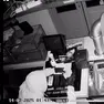 Il ladro in azione a La Corte Cafè