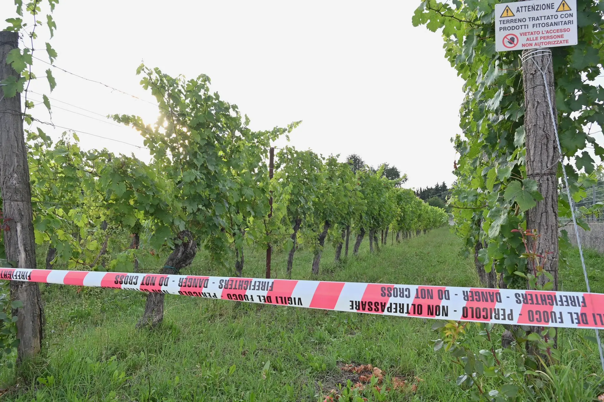 L'area dell'incidente, a Corno di Rosazzo, è stata interdetta al passaggio