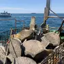 I resti della balenottera recuperati (foto Area Marina Protetta di Miramare)