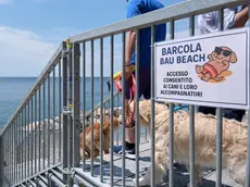 L’accesso alla Bau Beach di Barcola (Silvano)