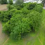 L'area dove dovrebbe sorgere il futuro campus (Bonaventura)
