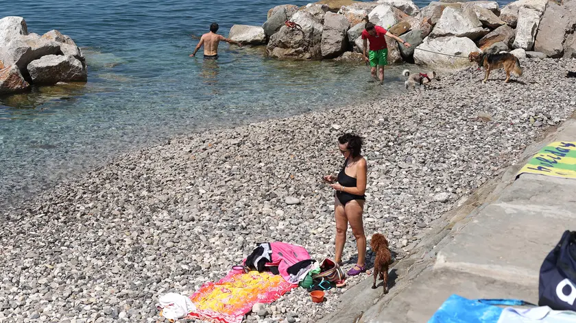Bau Beach, la spiaggia per cani aperta dal Comune meno di tre settimane fa situata tra il Cedas e “Il Pane quotidiano”. Dopo la Barcolana l’area sarà rivisitata. Foto Lasorte