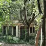 Lo scheletro di Villa Cosulich in mezzo al parco