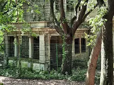 Lo scheletro di Villa Cosulich in mezzo al parco