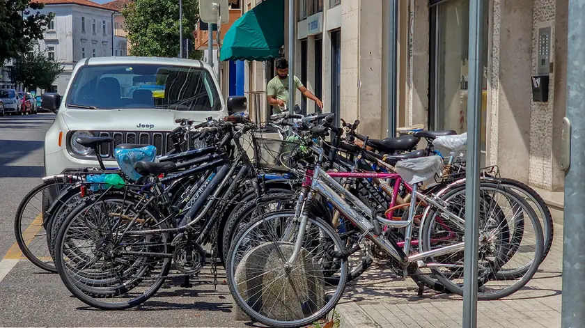 Biciclette a Monfalcone (Bonaventura)