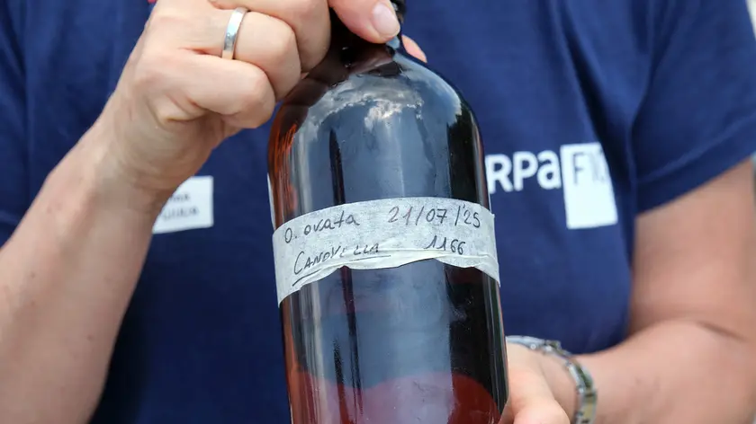 Arpa Fvg presenta i controlli per monitorare la presenza di microalghe (foto Massimo Silvano)
