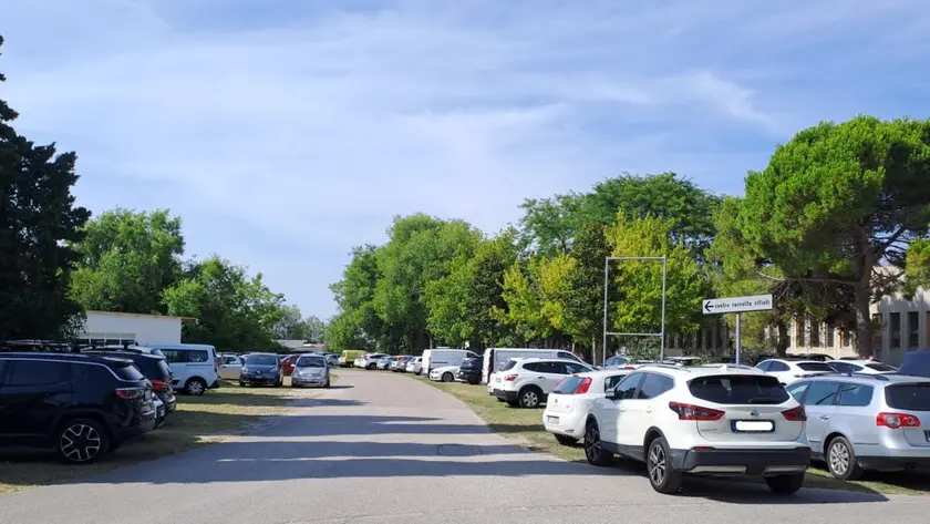 Le automobili che hanno riempito Valle Le Cove