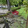 Un ramo crollato sopra una panchina nel giardino pubblico di Gradisca