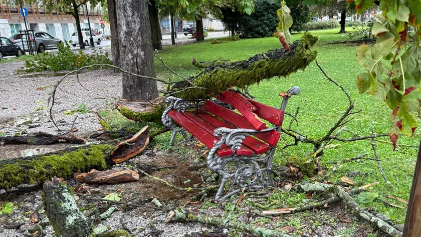 Un ramo crollato sopra una panchina nel giardino pubblico di Gradisca