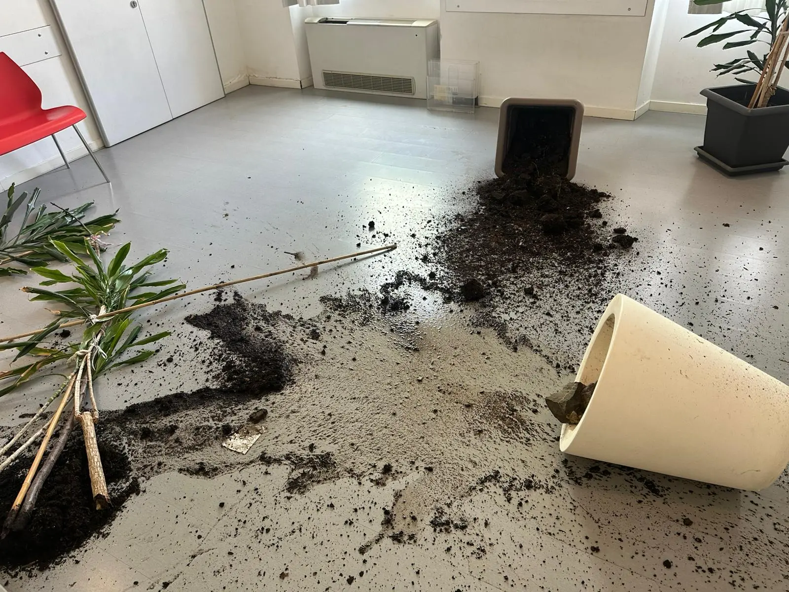 I segni dell'ennesimo raid alla Maddalena