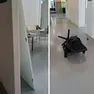 I segni dell'ennesimo raid alla Maddalena