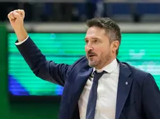 Gianmarco Pozzecco, ct dell'Italbasket