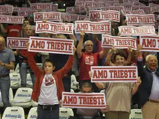 Tifosi della Pallacanestro Trieste (Bruni)