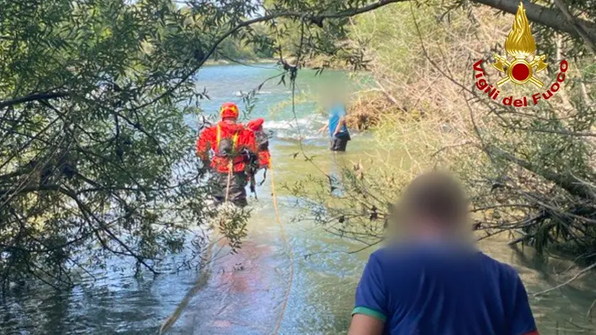 Il salvataggio dei due cani