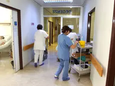 Infermieri al lavoro nella corsia di un ospedale