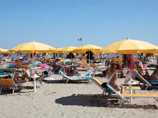 Relax sotto l’ombrellone nel comprensorio Git di Grado. Foto Bonaventura