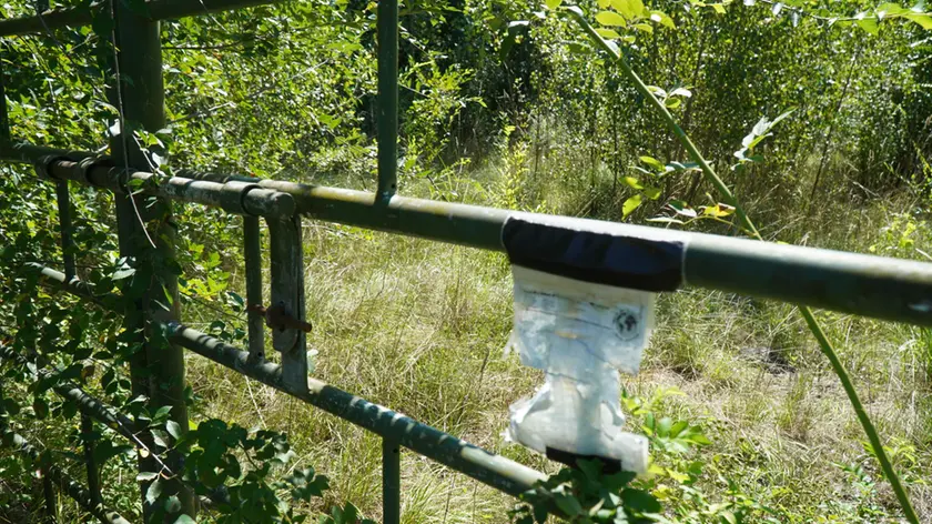 L’area di via Brigata Sassari che ha ospitato per anni una discarica (Marega)