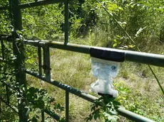 L’area di via Brigata Sassari che ha ospitato per anni una discarica (Marega)