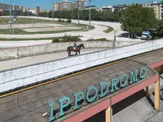 Una veduta sull’Ippodromo di Trieste (Silvano)