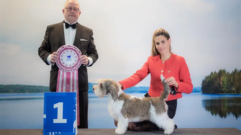 Meghan, il cane più bello al mondo