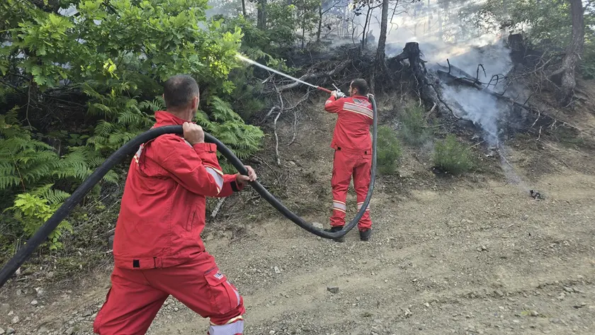 Personale impegnato in Albania (foto Protezione civile albanese)