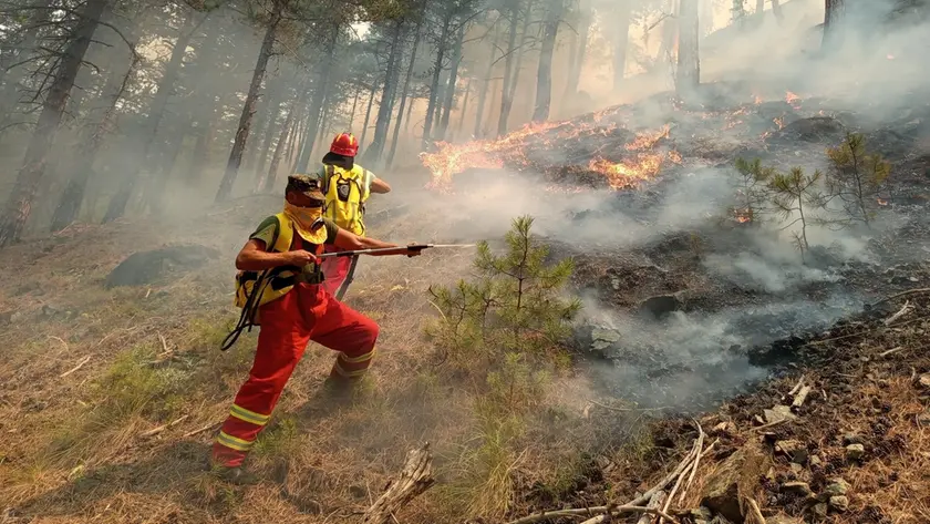Pompieri alle prese con un incendio in un bosco dell’Albania