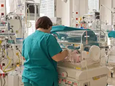 Un reparto di Terapia Intensiva Neonatale