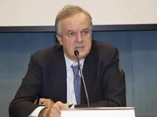 Stefano Dolcetta