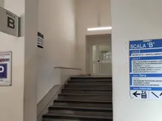 L’accesso al Servizio psichiatrico di Diagnosi e Cura. Foto Silvano