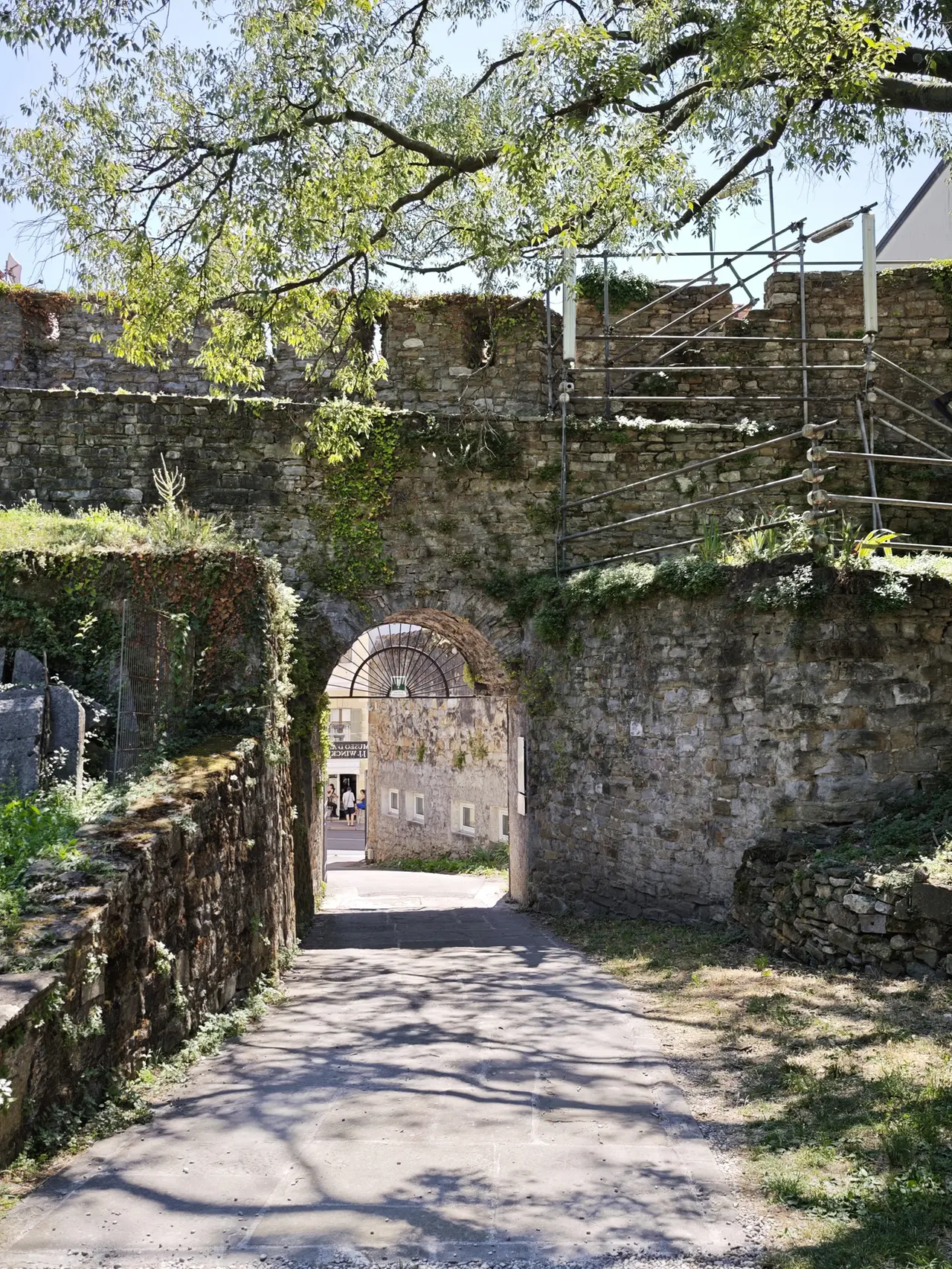 L’ingresso del Giardino del Capitano con i suoi alberi. Fotoservizio Andrea Lasorte