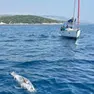 L’area del rinvenimento fra le isole di Solta e di Brazza